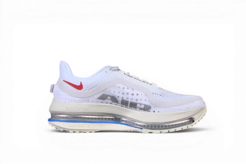 Nike Pegasus Premium Road Running Shoes - Forrest Gump