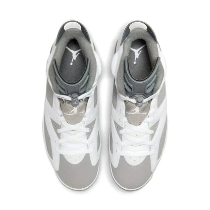 Air Jordan 6 'Cool Grey'